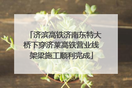 济滨高铁济南东特大桥下穿济莱高铁营业线架梁施工顺利完成