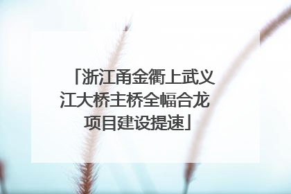 浙江甬金衢上武义江大桥主桥全幅合龙 项目建设提速