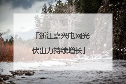 浙江嘉兴电网光伏出力持续增长