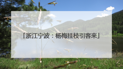 浙江宁波：杨梅挂枝引客来