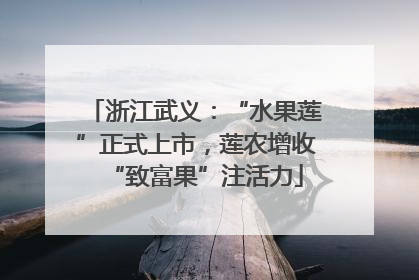 浙江武义：“水果莲”正式上市，莲农增收“致富果”注活力
