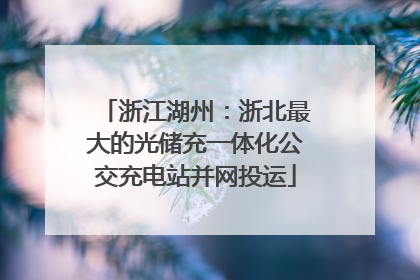 浙江湖州：浙北最大的光储充一体化公交充电站并网投运
