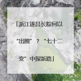 浙江遂昌长粽何以“出圈”？“七十二变”中探新路