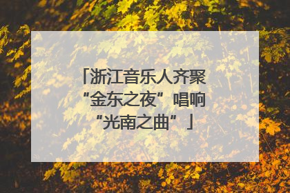 浙江音乐人齐聚“金东之夜”唱响“光南之曲”