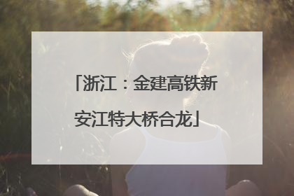 浙江：金建高铁新安江特大桥合龙