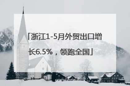 浙江1-5月外贸出口增长6.5%，领跑全国