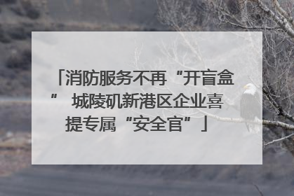 消防服务不再“开盲盒” 城陵矶新港区企业喜提专属“安全官”