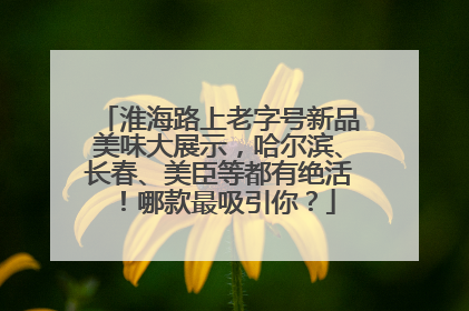 淮海路上老字号新品美味大展示，哈尔滨、长春、美臣等都有绝活！哪款最吸引你？