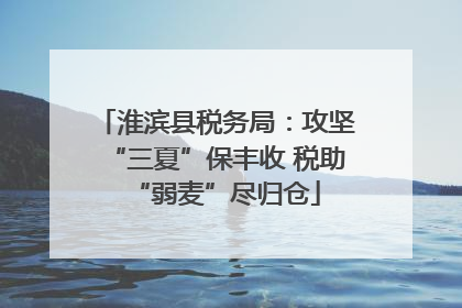 淮滨县税务局：攻坚“三夏”保丰收 税助“弱麦”尽归仓