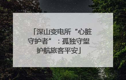 深山变电所“心脏守护者”：孤独守望护航旅客平安