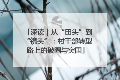 深读｜从“田头”到“镜头”：村干部转型路上的破圈与突围