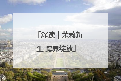 深读｜茉莉新生 跨界绽放