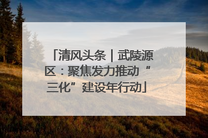 清风头条｜武陵源区：聚焦发力推动“三化”建设年行动