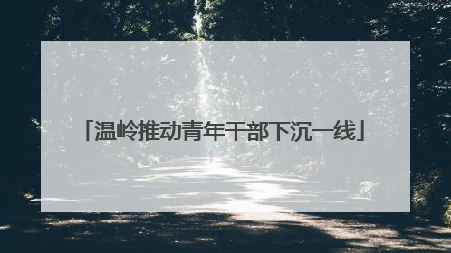 温岭推动青年干部下沉一线