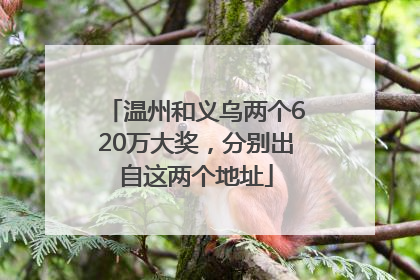 温州和义乌两个620万大奖，分别出自这两个地址