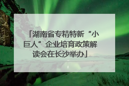 湖南省专精特新“小巨人”企业培育政策解读会在长沙举办