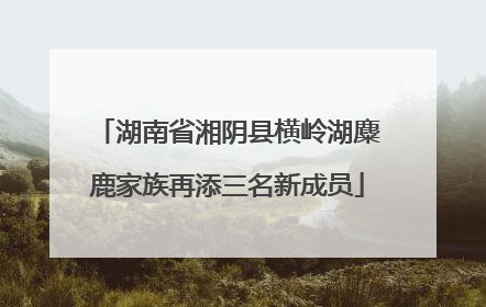 湖南省湘阴县横岭湖麋鹿家族再添三名新成员