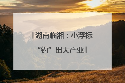 湖南临湘：小浮标“钓”出大产业