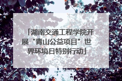 湖南交通工程学院开展“青山公益项目”世界环境日特别行动