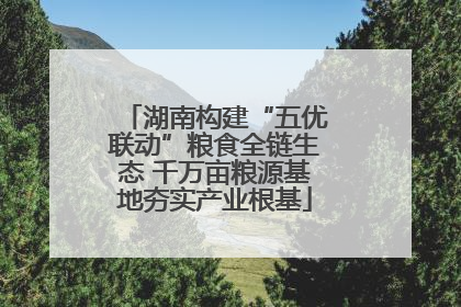 湖南构建“五优联动”粮食全链生态 千万亩粮源基地夯实产业根基