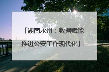 湖南永州：数据赋能推进公安工作现代化