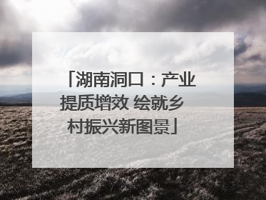 湖南洞口：产业提质增效 绘就乡村振兴新图景