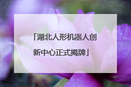 湖北人形机器人创新中心正式揭牌