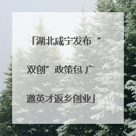 湖北咸宁发布“双创”政策包 广邀英才返乡创业