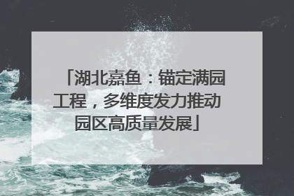 湖北嘉鱼：锚定满园工程，多维度发力推动园区高质量发展