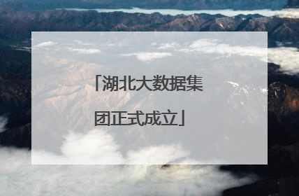 湖北大数据集团正式成立
