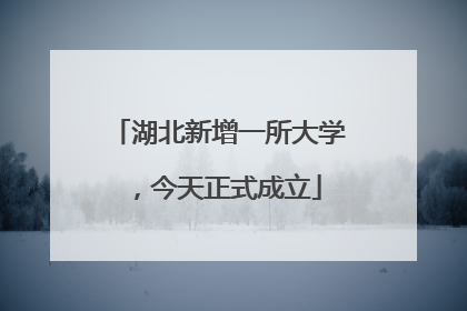 湖北新增一所大学，今天正式成立