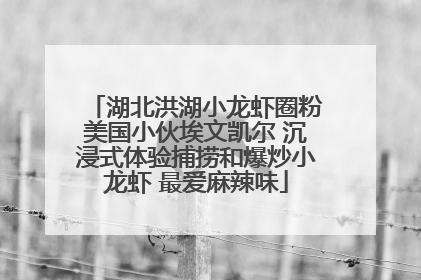 湖北洪湖小龙虾圈粉美国小伙埃文凯尔 沉浸式体验捕捞和爆炒小龙虾 最爱麻辣味