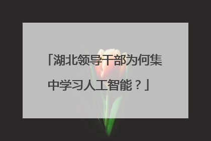 湖北领导干部为何集中学习人工智能？