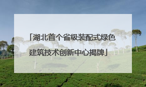 湖北首个省级装配式绿色建筑技术创新中心揭牌