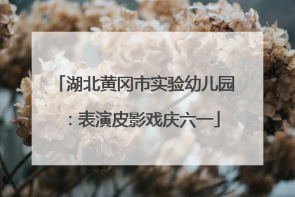 湖北黄冈市实验幼儿园：表演皮影戏庆六一