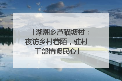 湖潮乡芦猫塘村：夜访乡村巷陌，驻村干部情暖民心