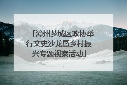 漳州芗城区政协举行文史沙龙暨乡村振兴专题视察活动