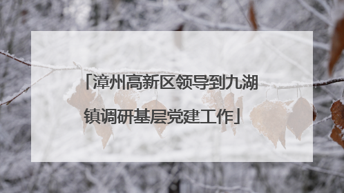 漳州高新区领导到九湖镇调研基层党建工作