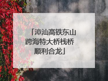 漳汕高铁东山跨海特大桥栈桥顺利合龙