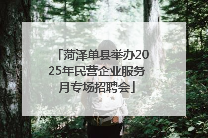 菏泽单县举办2025年民营企业服务月专场招聘会
