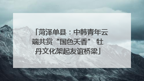 菏泽单县：中韩青年云端共赏“国色天香” 牡丹文化架起友谊桥梁