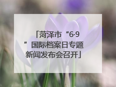 菏泽市“6·9”国际档案日专题新闻发布会召开