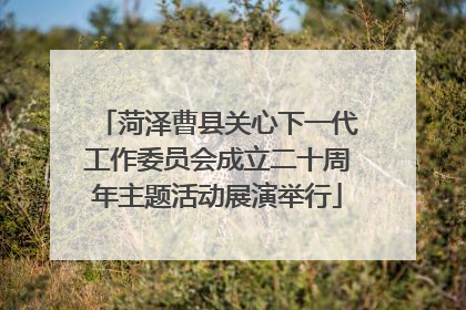 菏泽曹县关心下一代工作委员会成立二十周年主题活动展演举行