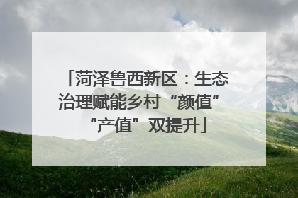 菏泽鲁西新区：生态治理赋能乡村“颜值”“产值”双提升