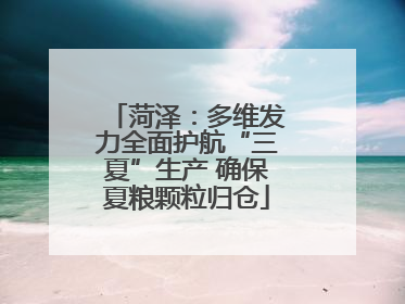 菏泽：多维发力全面护航“三夏”生产 确保夏粮颗粒归仓
