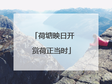 荷塘映日开 赏荷正当时