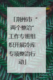 荆州市“两个整治”工作专班组织开展冷库专项整治行动