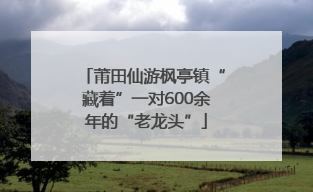 莆田仙游枫亭镇“藏着”一对600余年的“老龙头”