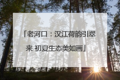 老河口：汉江荷韵引翠来 初夏生态美如画