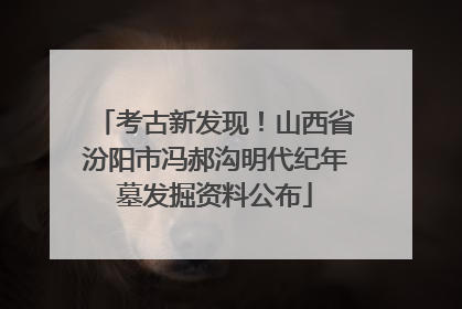 考古新发现！山西省汾阳市冯郝沟明代纪年墓发掘资料公布
